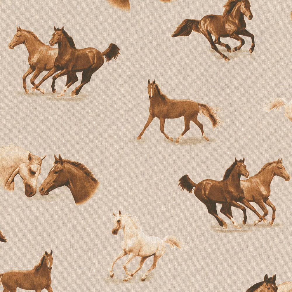 Paarden