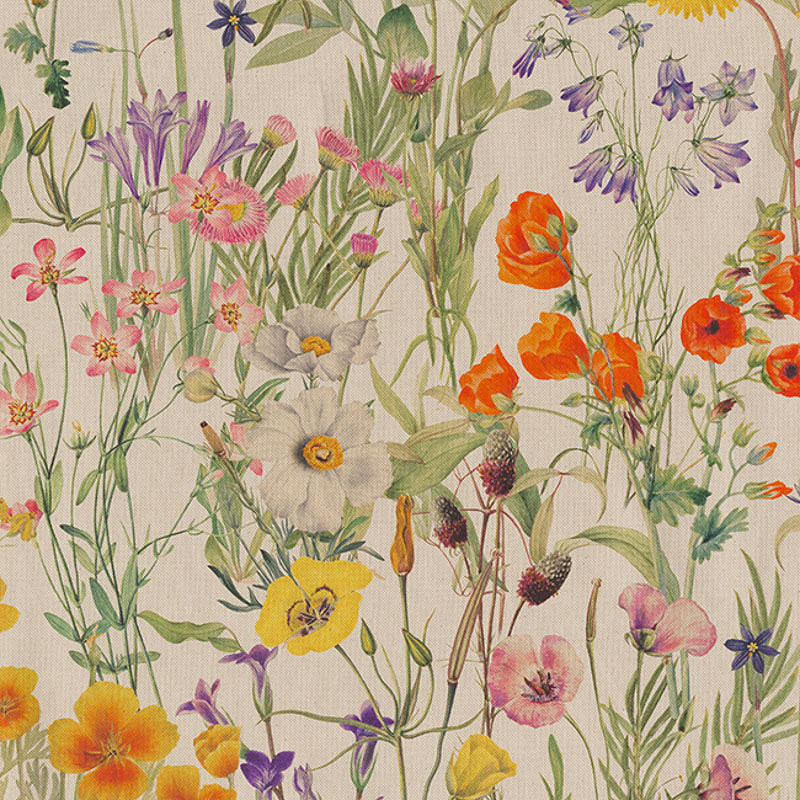 Veldbloemen