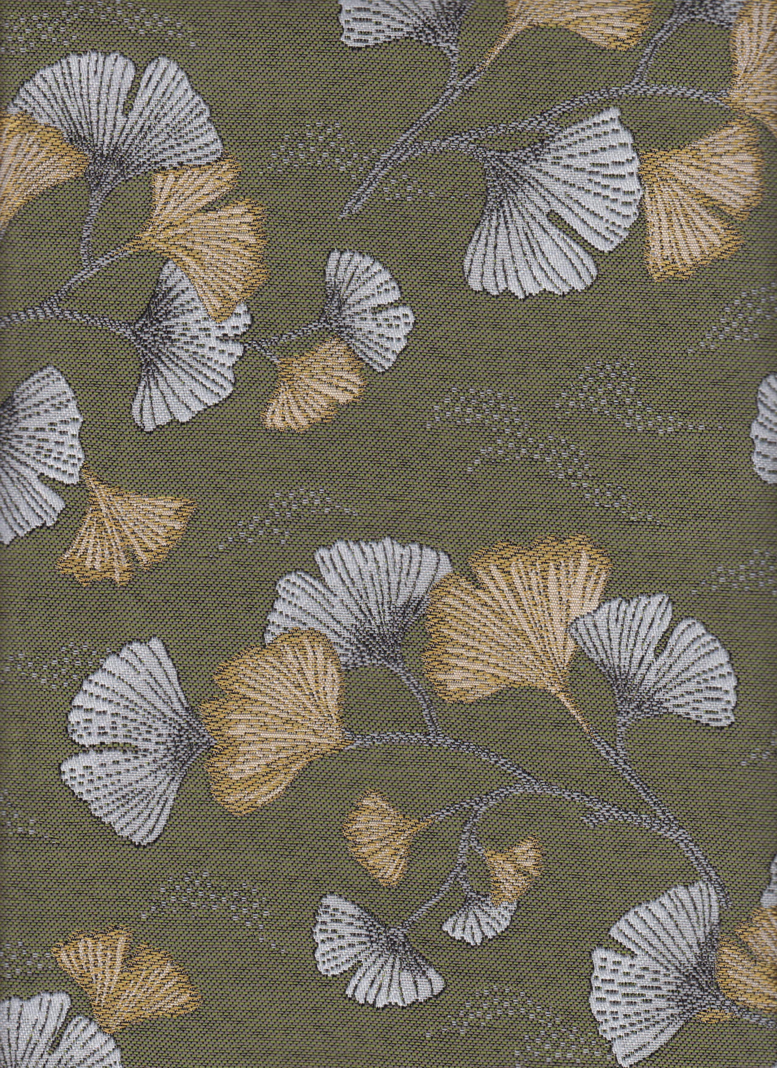 Ginkgo