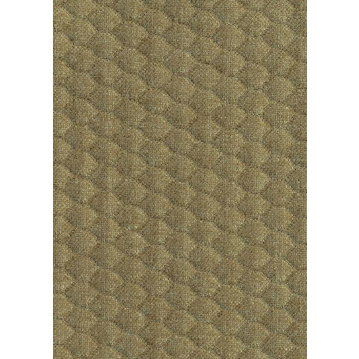 Cato Brass