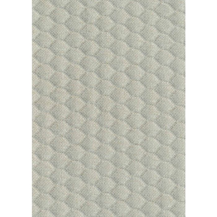 Cato Shell