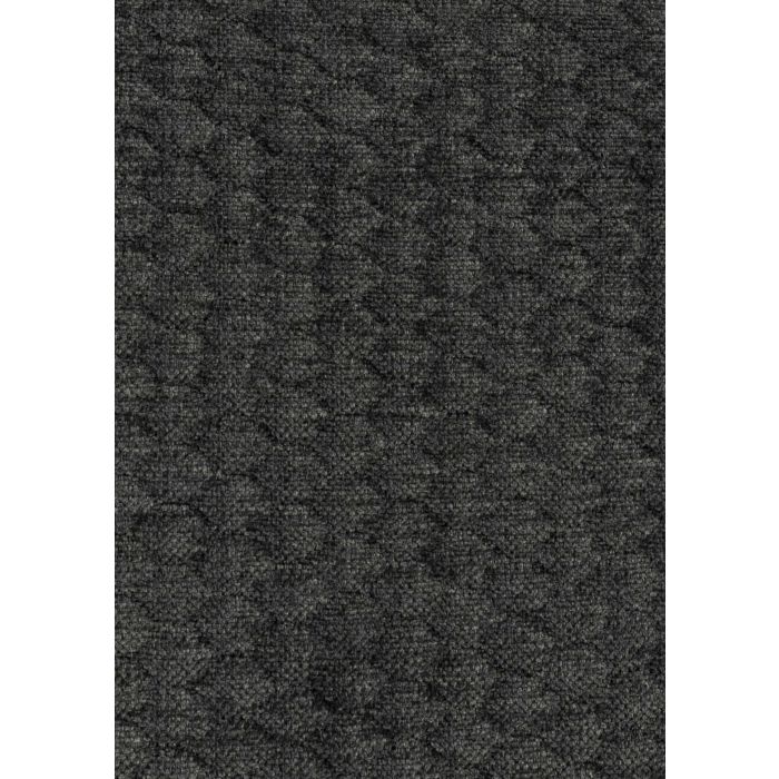 Cato Darkgrey