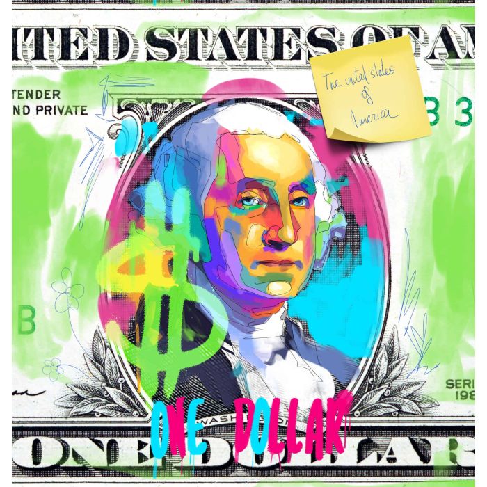 DOLLAR kussenpanel
