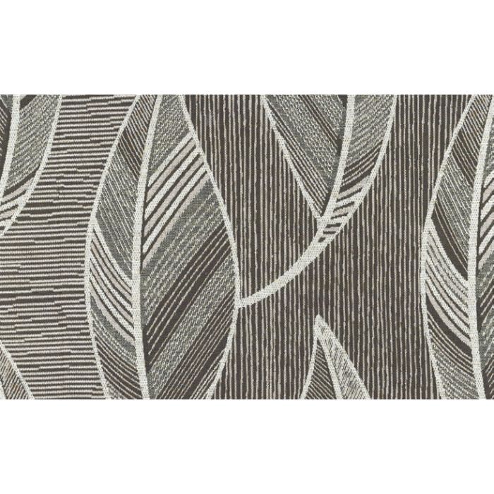 Plume_A_32_Brown