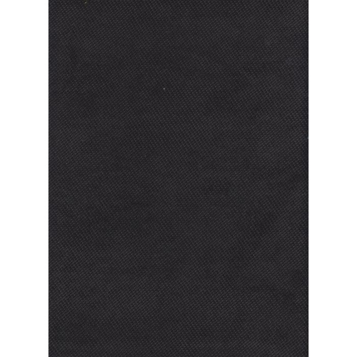 Rapide zwart (100)