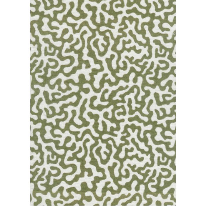 Salvio Corallino Green
