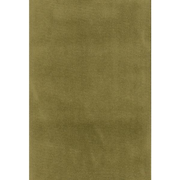 Jules Olive (53)