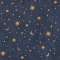 Printstof 049 Starry Night