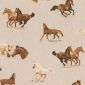 Linnenlook Dieren 096 Wild Horses
