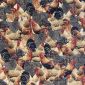 Gobelin 244 Chicken Cosy Family