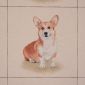 Gobelin Kussenpanel Corgi