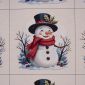 Gobelin Kussenpanel Happy Snowman Panel