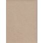 Buffalo Beige