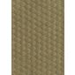 Cato Brass