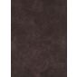Cheyenne Wenge