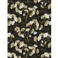 GINKGO Graphite stof met ginkgo