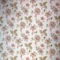 New Lino Brushed Alia Cream