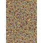 Tulipan_30_Beige