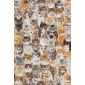 Digitale Printstof 147 Cats Allover