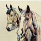 Gobelin Kussenpanel Caballos