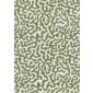 Salvio Corallino Green