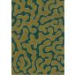 Corralino Olive Petrol