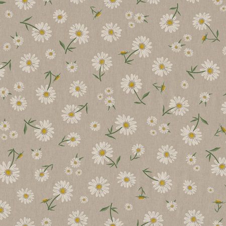 Linnenlook Coated 004 Daisy Floral Bloom