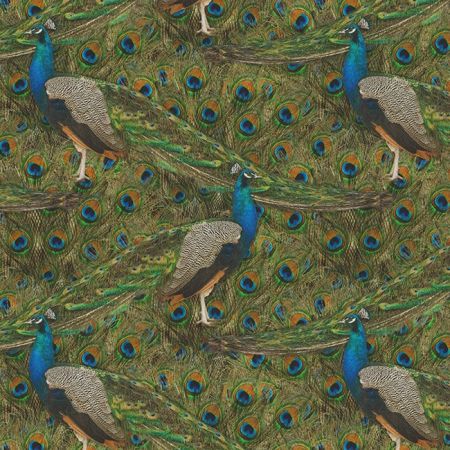 Digitale Printstof 273 PEACOCK ELEGANCE CHIQUE