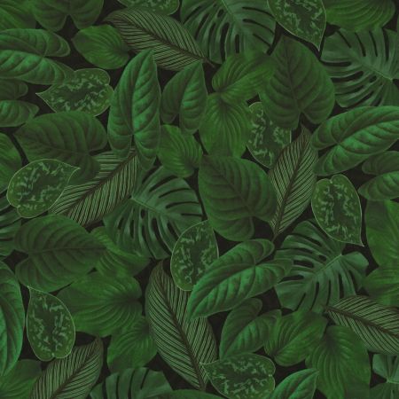 Velvet Printstof 037