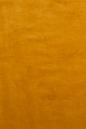 Velvet Plain Goud