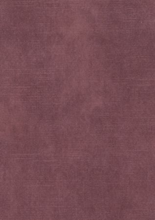 Aimee Winered