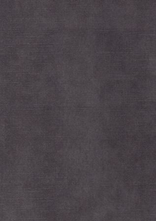 Aimee Anthracite