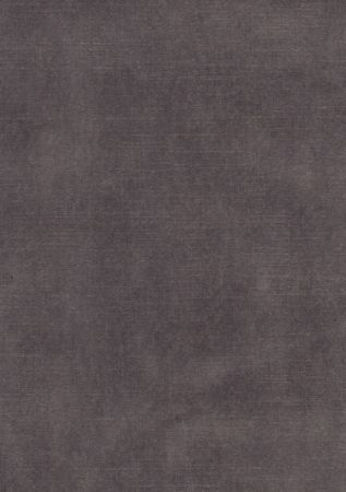 Aimee Darkgrey