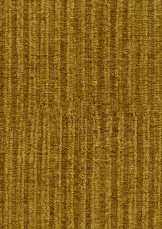 Boggia Mustard