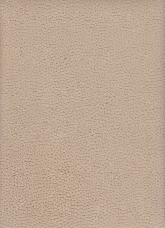 Buffalo Beige