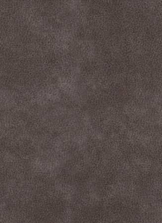 Cheyenne Darkbrown
