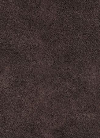 Cheyenne Wenge