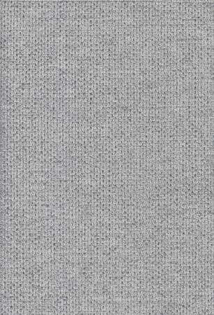 Cyber Ashgrey