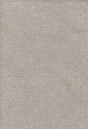 Cyber Beige