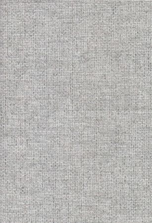 Cyber Lightgrey