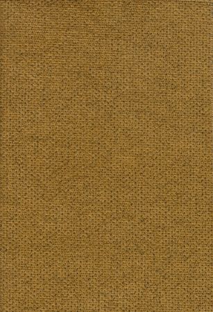 Cyber Mustard