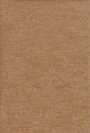 Cyber Ocre