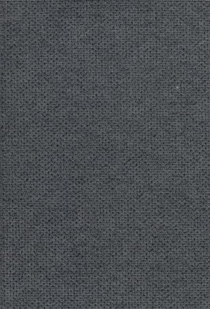 Cyber Slate
