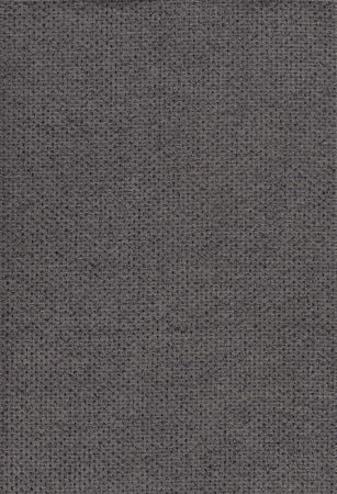 Cyber Taupe