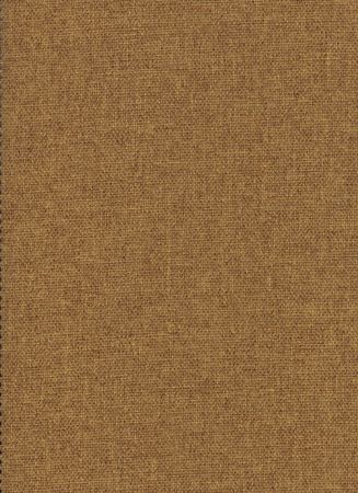 Earth Ocre