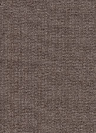 Earth Taupe
