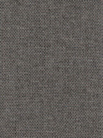 Fresh Darkgrey
