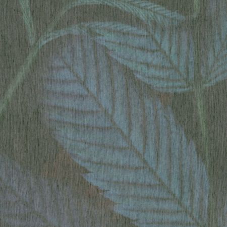 HEESTER (02)
