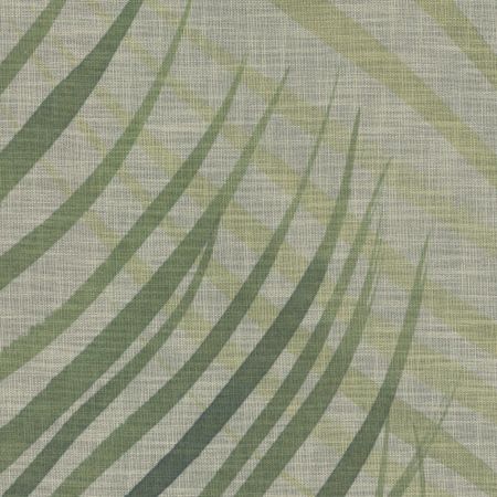 LEEM (02)