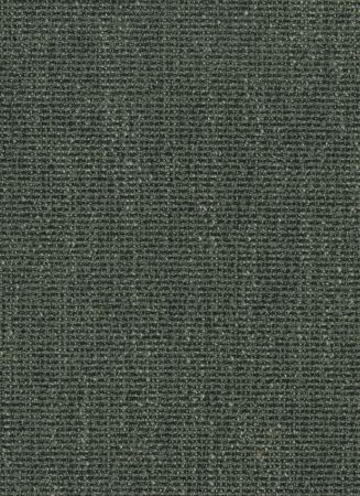 Lux Forest